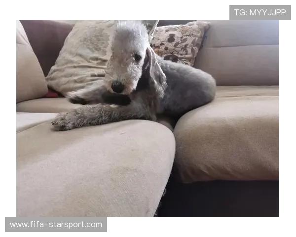 小贝林公开回应水货质疑：我会证明自己，小贝近照